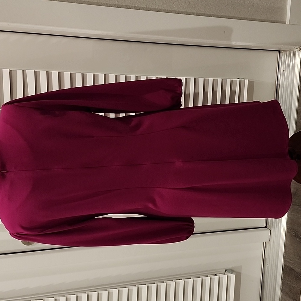 ALEXIA ADMOR Shift Dress, XL, Raspberry - Picture 3 of 14